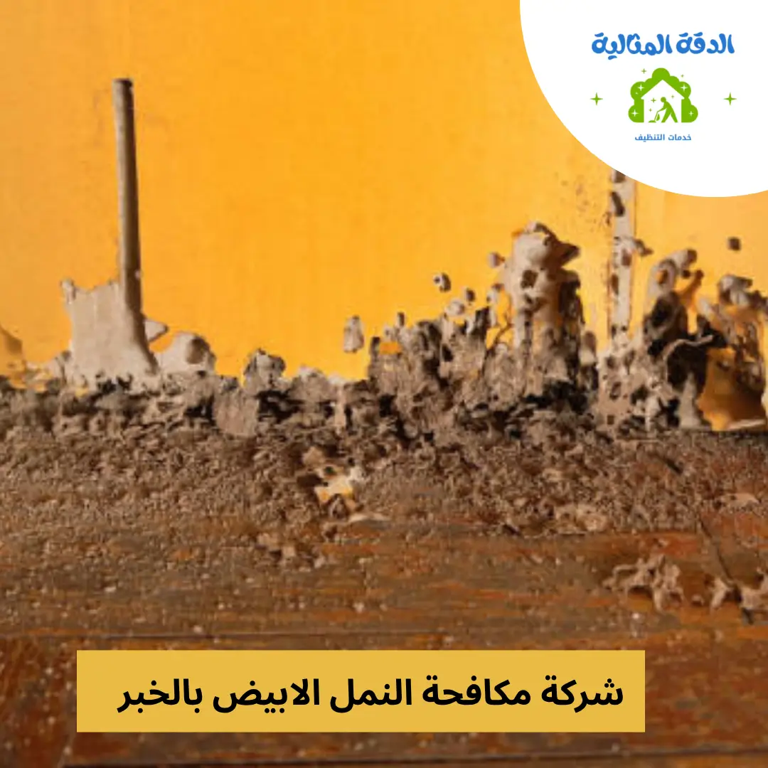 شركة مكافحة النمل الابيض بالخبر
