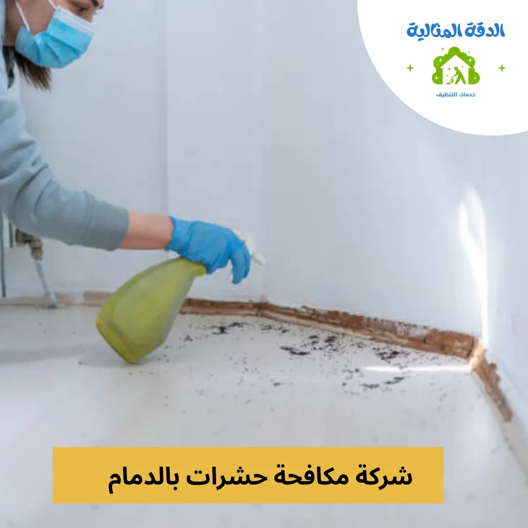 شركة مكافحة حشرات بالدمام