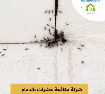 شركة مكافحة حشرات بالدمام