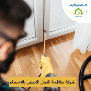 شركة مكافحة النمل الابيض بالاحساء