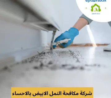 شركة مكافحة النمل الابيض بالاحساء