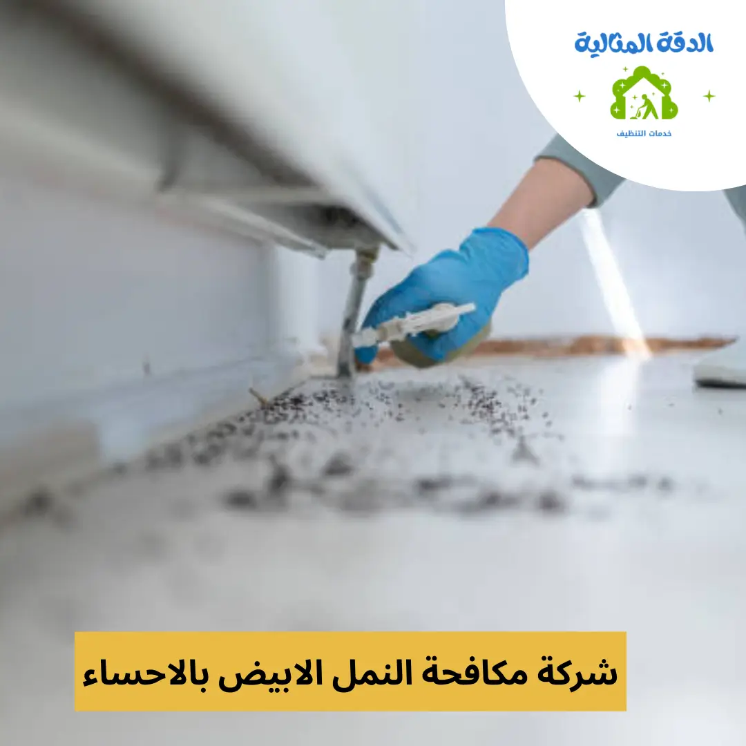 شركة مكافحة النمل الابيض بالاحساء