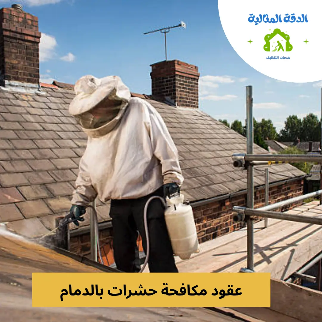 فني يرتدي بدلة حماية ويقوم برش المبيد لمكافحة الحشرات على سطح المنزل في الدمام.